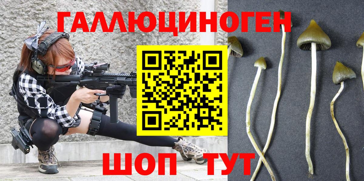 Галлюциногенные грибы Cubensis Барабинск