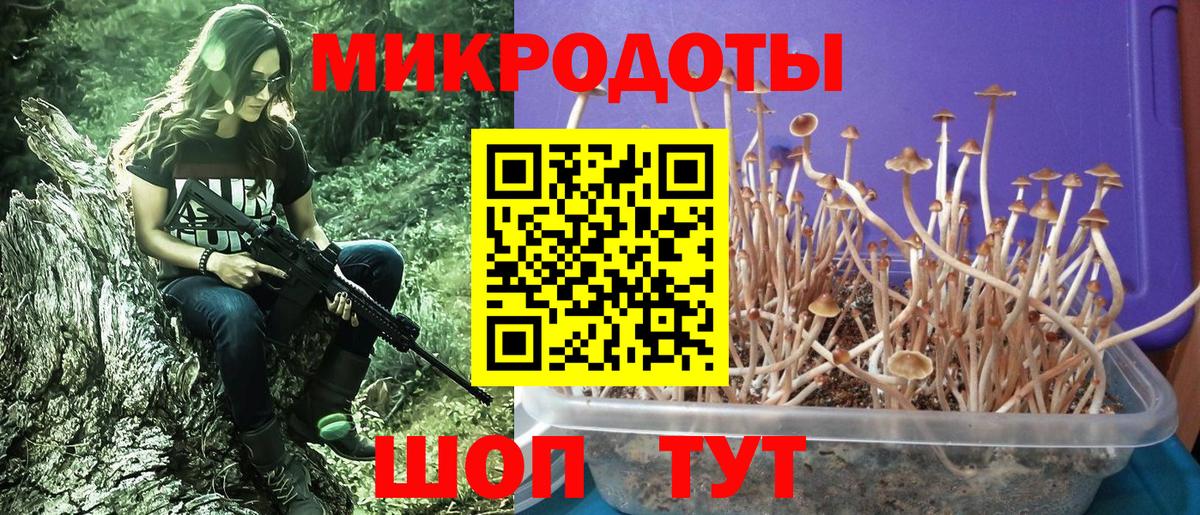 Псилоцибиновые грибы Psilocybine cubensis  Вход с VPN  Галлюциногенные грибы ЛСД  Барабинск 